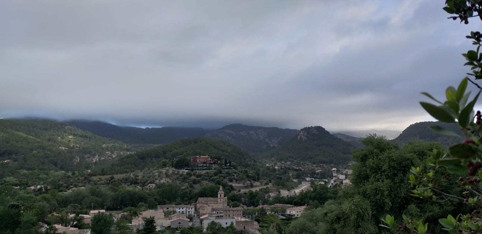 Imatge on es veu la linia d,arbres de ribera de torrent darrera l,esglesia. És on es projecte la UA 8. El poble li diu "la zona de l'aljub de la Taverna"