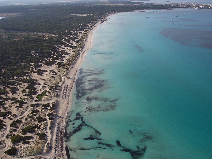 El nou Parc Natural d'Es Trenc-Salobrar de Campos