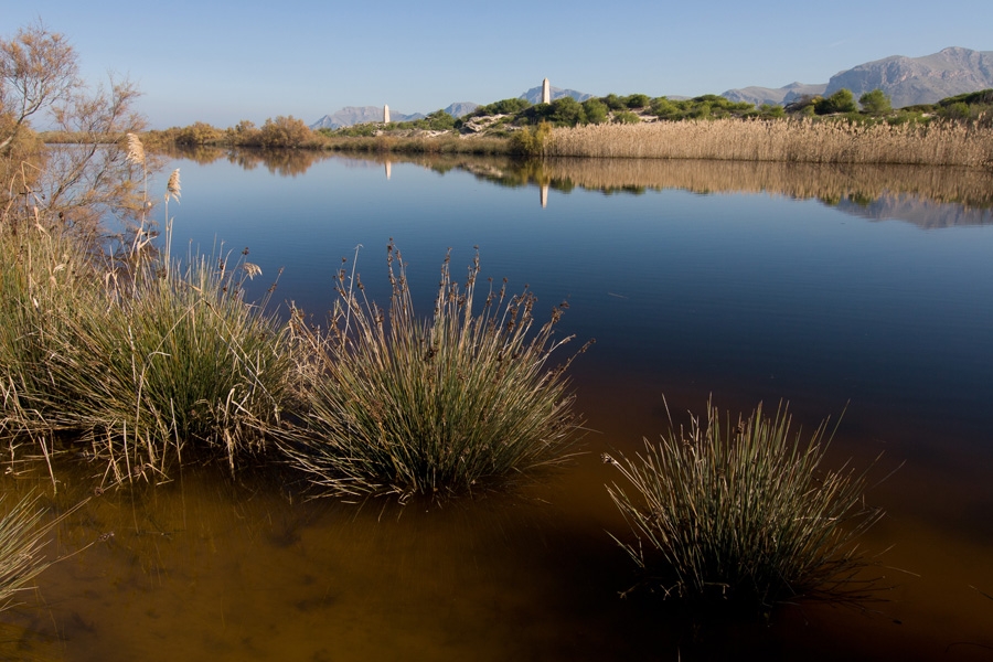 Estany del Bisbe, al torrent de na Borges